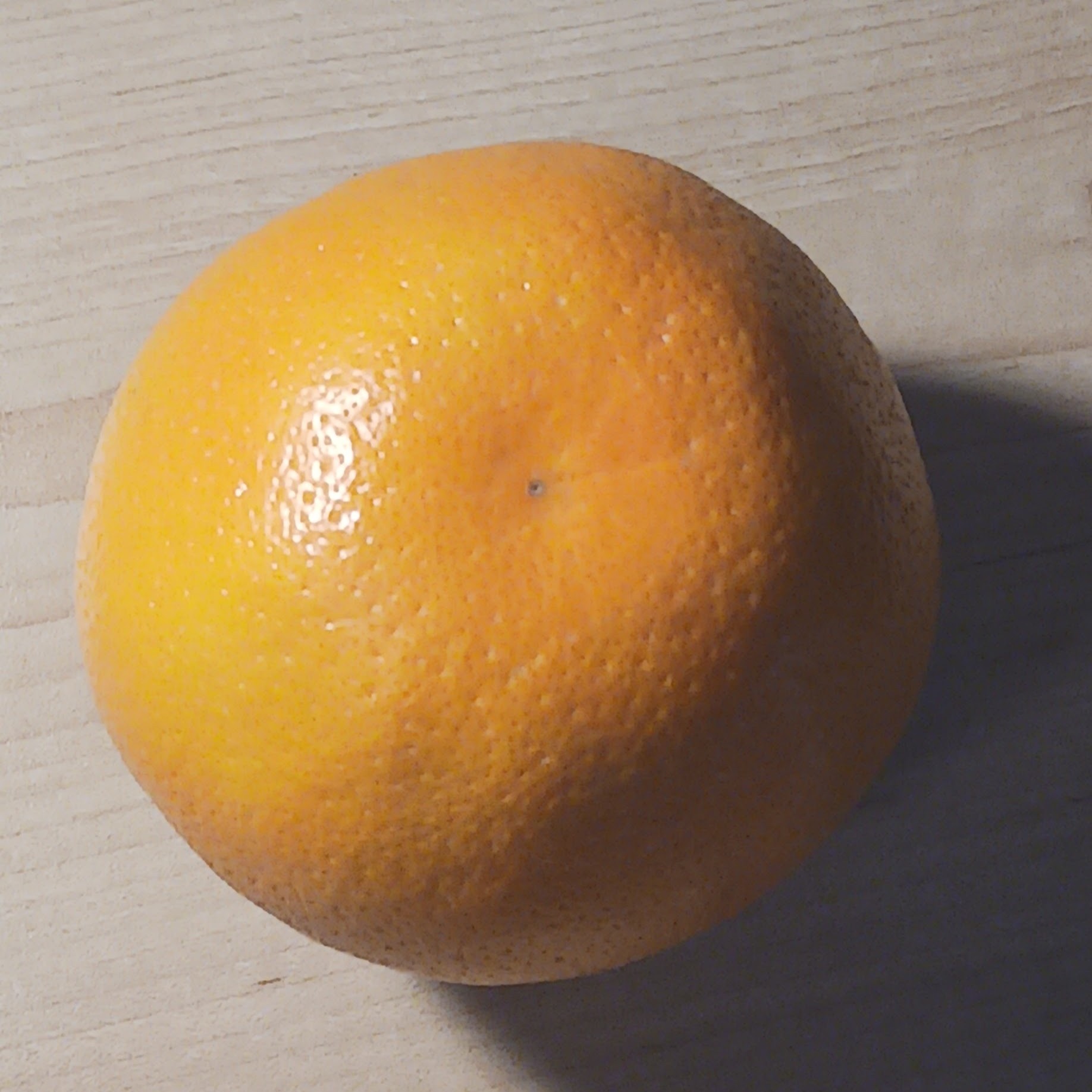 Bottom-up view of an orange that I will be using as one of my primitives